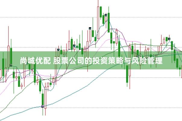 尚城优配 股票公司的投资策略与风险管理