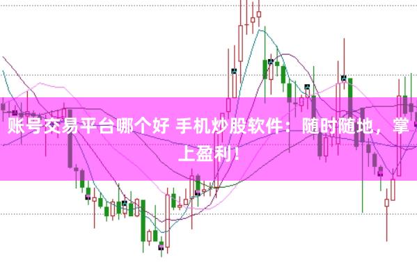 账号交易平台哪个好 手机炒股软件：随时随地，掌上盈利！