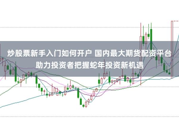 炒股票新手入门如何开户 国内最大期货配资平台助力投资者把握蛇年投资新机遇