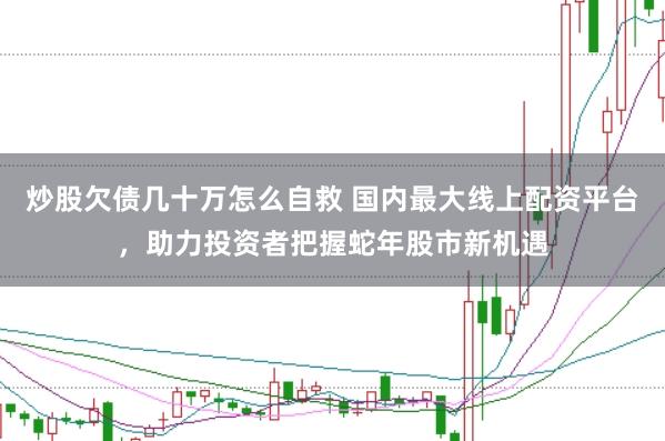 炒股欠债几十万怎么自救 国内最大线上配资平台，助力投资者把握蛇年股市新机遇