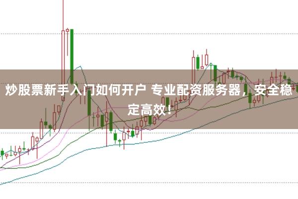 炒股票新手入门如何开户 专业配资服务器，安全稳定高效！