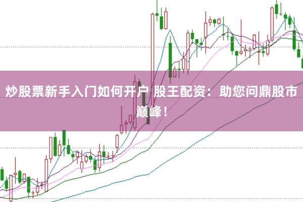 炒股票新手入门如何开户 股王配资：助您问鼎股市巅峰！