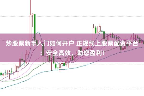炒股票新手入门如何开户 正规线上股票配资平台：安全高效，助您盈利！