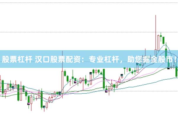 股票杠杆 汉口股票配资：专业杠杆，助您掘金股市！