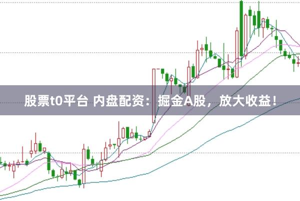 股票t0平台 内盘配资：掘金A股，放大收益！