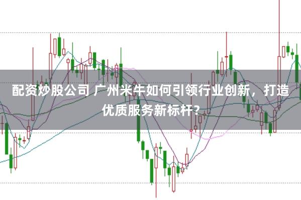 配资炒股公司 广州米牛如何引领行业创新，打造优质服务新标杆？