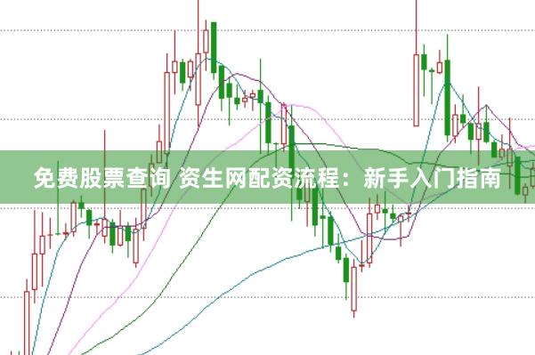 免费股票查询 资生网配资流程：新手入门指南