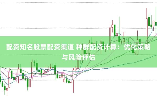 配资知名股票配资渠道 种群配资计算：优化策略与风险评估