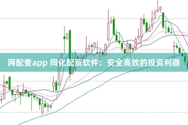 网配查app 同化配资软件：安全高效的投资利器