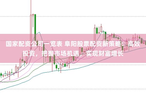 国家配资公司一览表 阜阳股票配资新策略：高效投资，把握市场机遇，实现财富增长