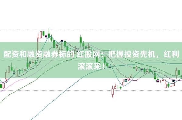 配资和融资融券标的 红股网：把握投资先机，红利滚滚来！