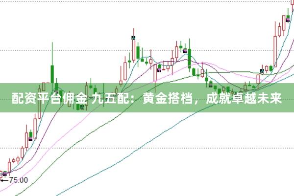配资平台佣金 九五配：黄金搭档，成就卓越未来