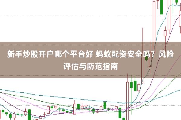 新手炒股开户哪个平台好 蚂蚁配资安全吗?风险评估与防范指南