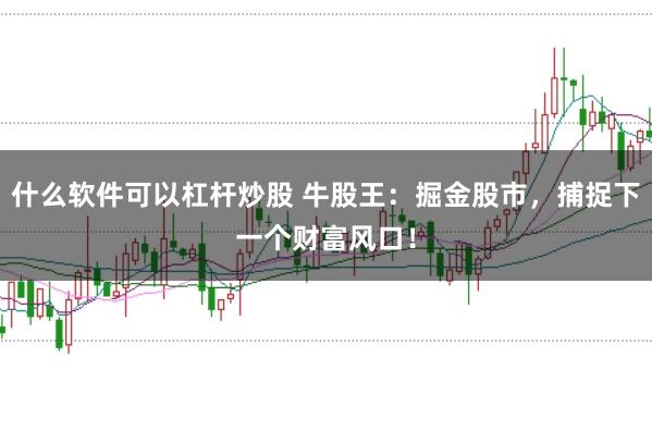 什么软件可以杠杆炒股 牛股王:掘金股市,捕捉下一个财富风口!