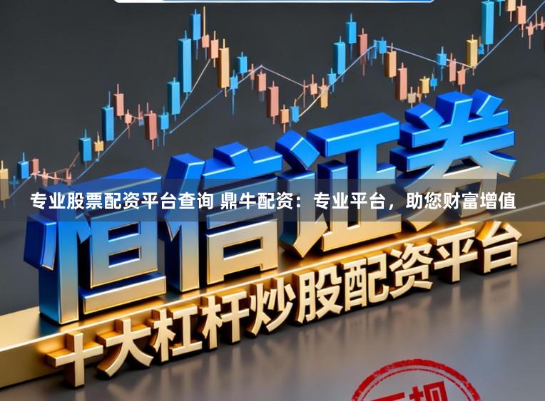 专业股票配资平台查询 鼎牛配资：专业平台，助您财富增值